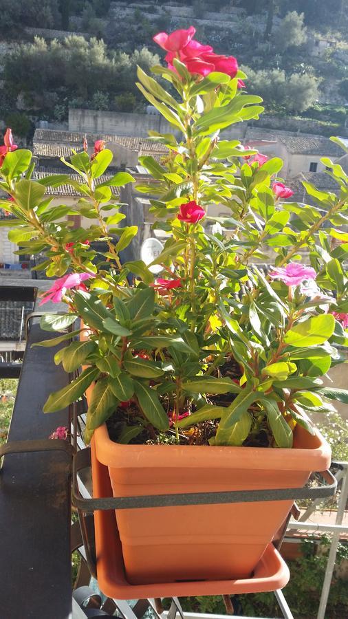 מודיקה Pineta Monserrato מראה חיצוני תמונה